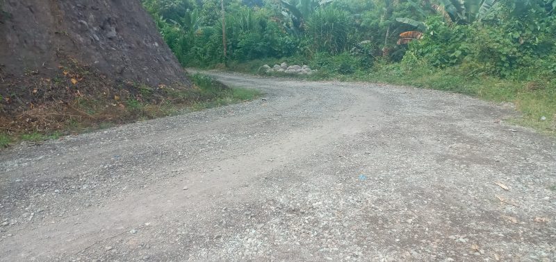 Buruknya infrastruktur jalan di Kabupaten Sikka