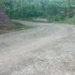 Buruknya infrastruktur jalan di Kabupaten Sikka