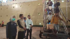 Petugas BP2MI Sikka menunggu kedatangan tenaga kerja ilegal yang dipulangkan dari Nunukan melalui KM Lambelu di Pelabuhan Laurens Say Maumere, Minggu (18/6)