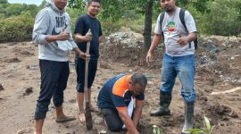 Aksi mahasiswa Unipa Maumere menanam pohon mangrove di Pantai Waidoko, Selasa (18/7)
