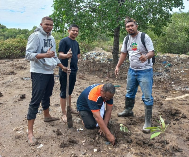 Aksi mahasiswa Unipa Maumere menanam pohon mangrove di Pantai Waidoko, Selasa (18/7)