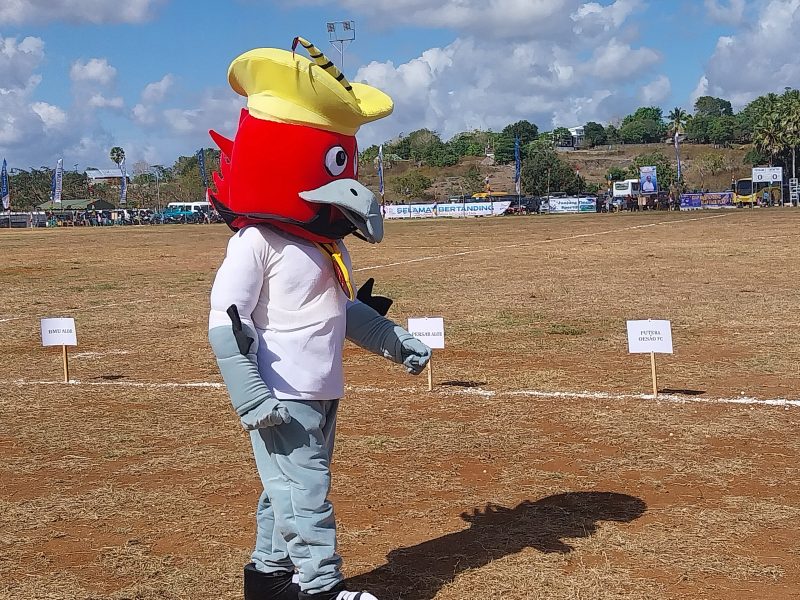 Maskot Liga 3 ETMC XXXII Rote Ndao