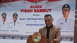 Mantan Bupati Sikka Fransiskus Roberto Diogo