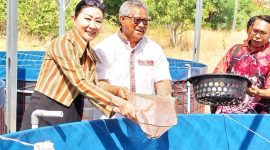 Anggota DPR RI Julie Sutrisno Laiskodat dan Uskup Maumere panen ikan nila di lokasi budidaya di Istana Keuskupan Maumere, Kamis (28/9)