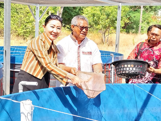 Anggota DPR RI Julie Sutrisno Laiskodat dan Uskup Maumere panen ikan nila di lokasi budidaya di Istana Keuskupan Maumere, Kamis (28/9)