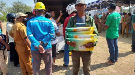 Warga Kota Maumere serbu halaman Kantor Bupati Sikka untuk membeli beras dengan harga murah, Senin (30/10)