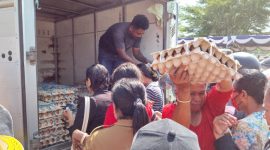 Suasana kegiatan Gerakan Pangan Murah di lapak penjualan telur ayam ras, berlangsung di halaman Kantor Bupati Sikka, Senin (30/10)
