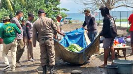 Petugas SatPol PP Sikka menertibkan PKL yang membuka pasar bayangan di eks Pasar Geliting, Jumat (9/11)