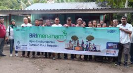 BRI Maumere memberikan bantuan bibit pala kepada petani di Desa Nita dalam program BRI Menanam, Kamis (23/11) 