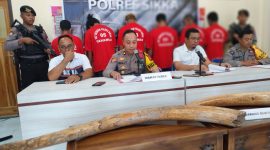 Wakapolres Sikka Kompol Ruliyanto JP Pahroen memimpin konperensi pers kasus pencurian gading, Rabu (6/12)