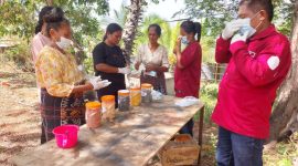 Para penenun tenunan ikat sedang mengikuti mekanisne pewarnaan dan pembuatan motif tenun ikat di Hotel Permata Sari Maumere, Rabu (6/12)