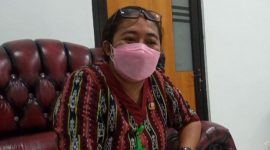 Direktur RSUD TC Hillers Maumere Dokter Clara Francis