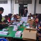 Suasana sortir dan lipat surat suara di Kantor KPU Sikka, Jumat (5/1)