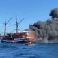 Kapal Wisata Sea Safari VII terbakar di perairan Pulau Penga Labuan Bajo, Kamis (2/5)
