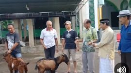 Serah terima 2 ekor kambing kurban di halaman Masjid Darusalam Waioti, Minggu (16/6)