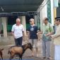 Serah terima 2 ekor kambing kurban di halaman Masjid Darusalam Waioti, Minggu (16/6)