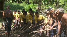 Sebuah pentas tari yang menggambarkan kearifan lokal adat dan budaya di Kabupaten Sikka