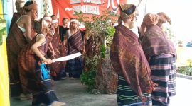 Salah satu peserta Lomba Tari Gawi Tingkat SD se-Kecamatan Tanawawo sedang mengunjuk kebolehan, Senin (12/8) 