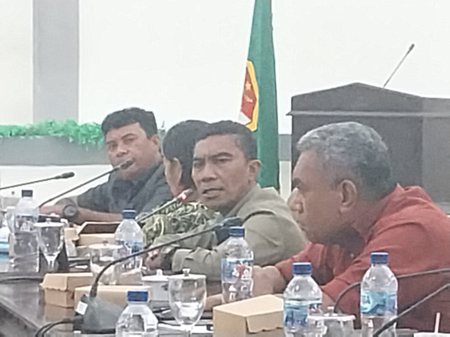 Ketua.Fraksi PKB Yoseph Karmianto Eri