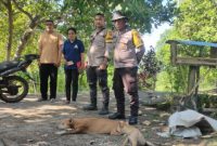 Anggota Bhabinkantibmas Palue mengamankan anjing liar yang dibawa dari Sulawesi Selatan, Minggu (11/5)