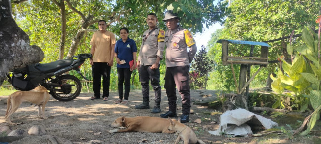 Anggota Bhabinkantibmas Palue mengamankan anjing liar yang dibawa dari Sulawesi Selatan, Minggu (11/5)