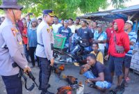 Kapolres Sikka AKBP Moh Muksson memimpin langsung penggebrekan lokasi judi sabung ayam, Jumat (16/5)