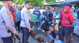 Kapolres Sikka AKBP Moh Muksson memimpin langsung penggebrekan lokasi judi sabung ayam, Jumat (16/5)