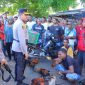 Kapolres Sikka AKBP Moh Muksson memimpin langsung penggebrekan lokasi judi sabung ayam, Jumat (16/5)