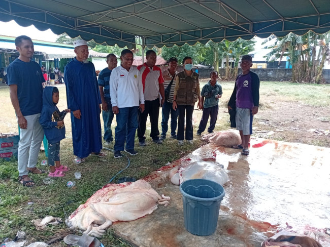 Kepala Dinas Pertanian Sikka Yohanes Emil Satriawan memonitor proses penyembelihan hewan kurban, Jumat (6/6)