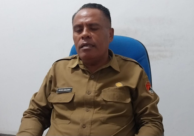 Pelaksana Tugas Kepala Dinas Kesehatan Kabupaten Sikka Petrus Herlemus
