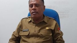Pelaksana Tugas Kepala Dinas Kesehatan Petrus Herlemus