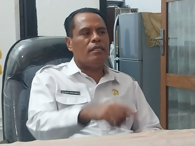 Pelaksana Tugas Kepala Dinas Kesehatan Kabupatan Sikka Petrus Herlemus 