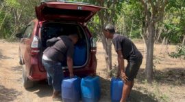 Ratusan liter moke diamankan Satresnarkoba Polres Sikka dari sebuah tempat produksi di Sikka, Sabtu (1/11)