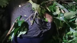 Korban tertindis pohon kemiri yang tumbang akibat angin kencang, Jumat (23/1)