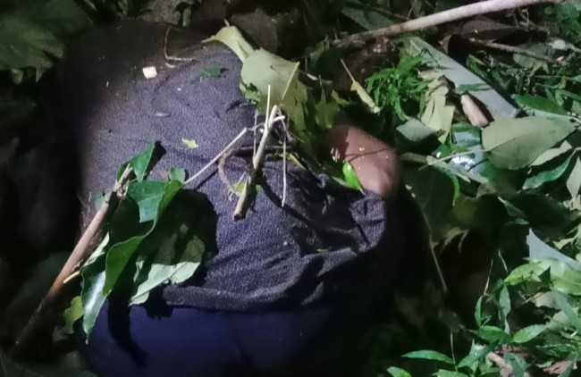 Korban tertindis pohon kemiri yang tumbang akibat angin kencang, Jumat (23/1)