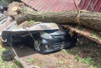 Mobil Avansa EB 1258 BL milik Baber ditindih pohon tumbang di Jalan Litbang, Jumat (20/2) dinihari