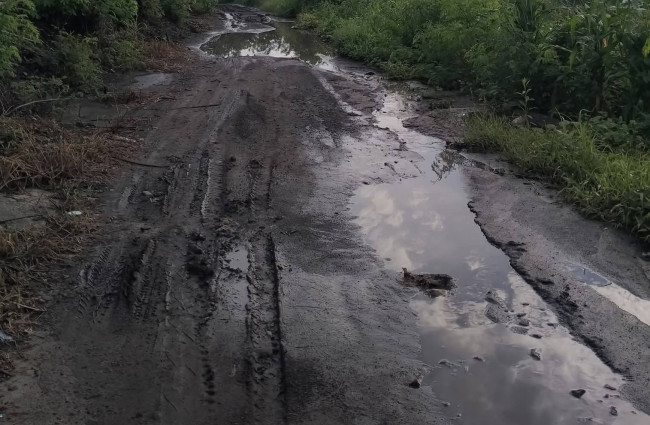 Kondisi ruas jalan Ndete-Tanah Merah di Magelanda Kabupaten Sikka