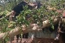 Rumah Siprianus Bin Aswin ditindih pohon rita, Sabtu (11/4)
