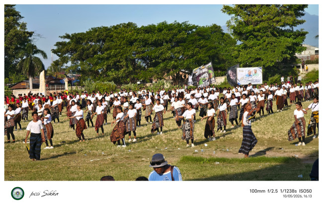 foto slider headline