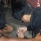 Seorang terduga pelaku sedang membuka plastik bening yang diduga narkotika jenis sabu, Rabu (6/5) malam 