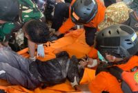 Tim Basarnas Maumere tengah mengevakuasi korban gempa di Maumere, Sabtu (15/8)