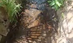 berita-pilihan-foto