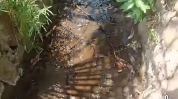 Selokan di Kampung Waituri Talibura yang selama ini kering, kini dialiri air, diduga bersumber dari mata air yang baru muncul pascagempa buni tektonik beberapa waktu lalu